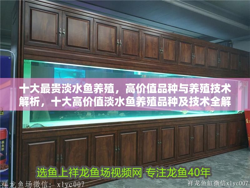 十大最貴淡水魚養(yǎng)殖，高價值品種與養(yǎng)殖技術(shù)解析，十大高價值淡水魚養(yǎng)殖品種及技術(shù)全解析