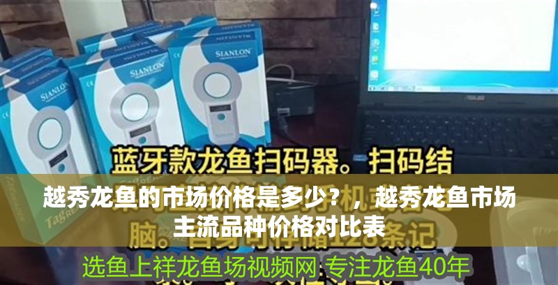 龍魚怕什么 越秀龍魚的市場價格是多少?,越秀龍魚市場主流品種價格對比表 龍魚百科 越秀龍魚的市場價格是多少?,越秀龍魚市場主流品種價格對比表 越秀龍魚的市場價格是多少?,越秀龍魚市場主流品種價格對比表 龍魚百科