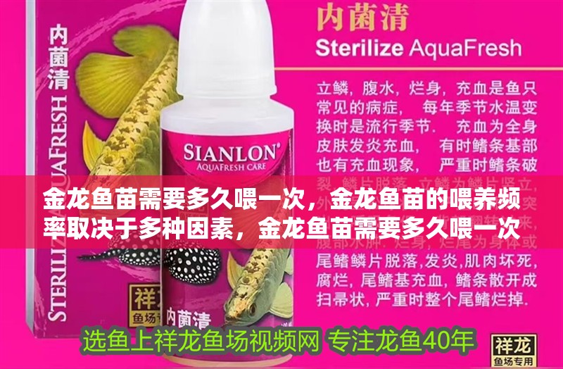 龍魚干蝦有營養嗎 金龍魚苗需要多久喂一次,金龍魚苗的喂養頻率取決于多種因素,金龍魚苗需要多久喂一次 龍魚百科 金龍魚苗需要多久喂一次,金龍魚苗的喂養頻率取決于多種因素,金龍魚苗需要多久喂一次 金龍魚苗需要多久喂一次,金龍魚苗的喂養頻率取決于多種因素,金龍魚苗需要多久喂一次 龍魚百科