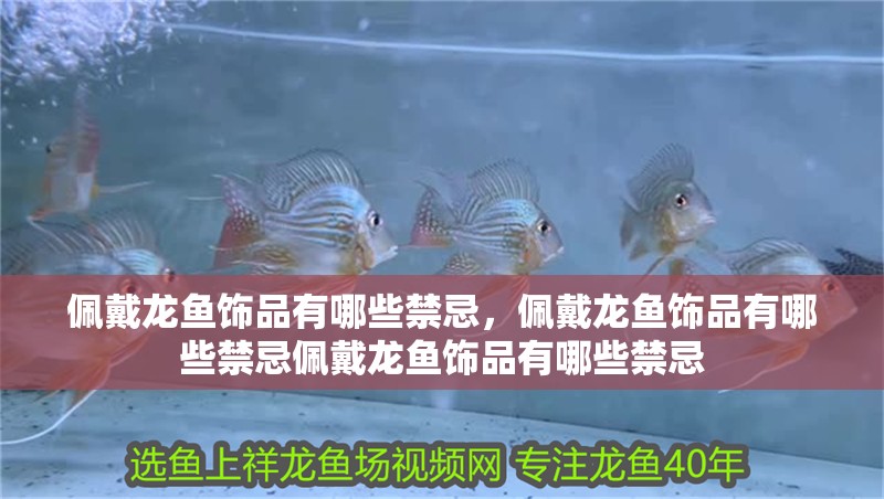 我的虎魚真菌感染了要怎么處理 佩戴龍魚飾品有哪些禁忌,佩戴龍魚飾品有哪些禁忌佩戴龍魚飾品有哪些禁忌 龍魚百科 佩戴龍魚飾品有哪些禁忌,佩戴龍魚飾品有哪些禁忌佩戴龍魚飾品有哪些禁忌 佩戴龍魚飾品有哪些禁忌,佩戴龍魚飾品有哪些禁忌佩戴龍魚飾品有哪些禁忌 龍魚百科