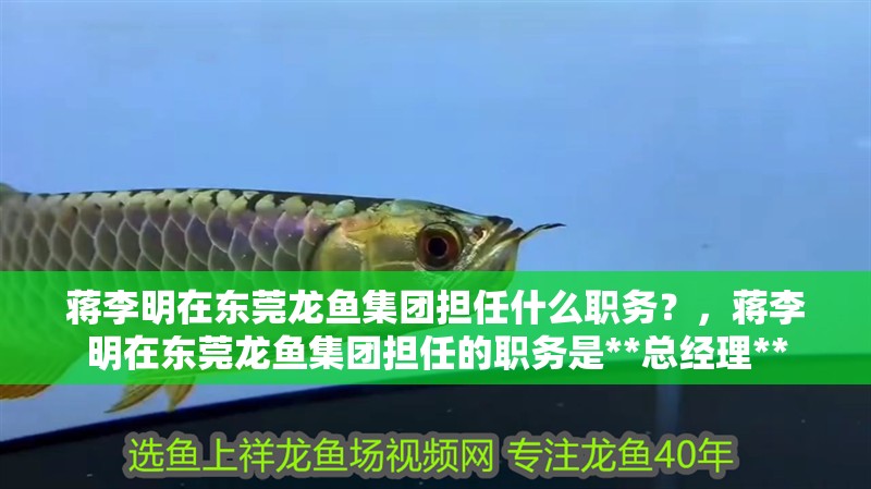 魚缸用增氧泵價格是多少:魚缸增氧機-xtrac增氧機-xtrac增氧機 蔣李明在東莞龍魚集團擔任什么職務?,蔣李明在東莞龍魚集團擔任的職務是**總經理** 龍魚百科 蔣李明在東莞龍魚集團擔任什么職務?,蔣李明在東莞龍魚集團擔任的職務是**總經理** 蔣李明在東莞龍魚集團擔任什么職務?,蔣李明在東莞龍魚集團擔任的職務是**總經理** 龍魚百科