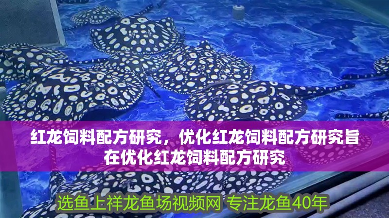 紅龍飼料配方研究，優化紅龍飼料配方研究旨在優化紅龍飼料配方研究