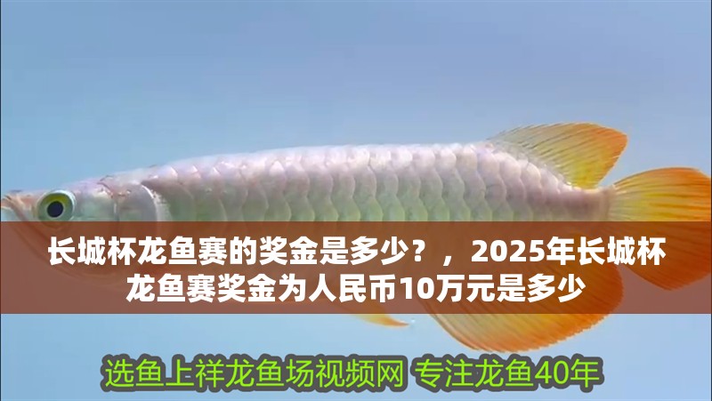 魚缸過濾器選購指南:自制魚缸過濾器魚缸上置過濾器對于養魚愛好者的必備知識 長城杯龍魚賽的獎金是多少?,2025年長城杯龍魚賽獎金為人民幣10萬元是多少 龍魚百科 長城杯龍魚賽的獎金是多少?,2025年長城杯龍魚賽獎金為人民幣10萬元是多少 長城杯龍魚賽的獎金是多少?,2025年長城杯龍魚賽獎金為人民幣10萬元是多少 龍魚百科