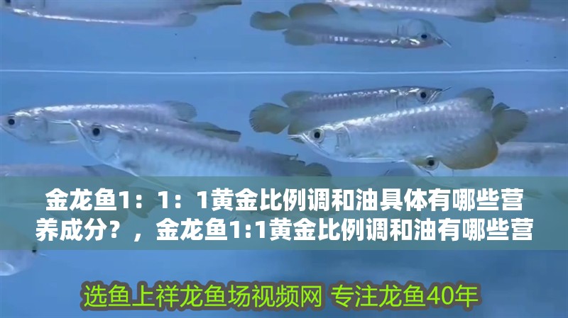 魚缸用增氧泵價格是多少:魚缸增氧機-xtrac增氧機-xtrac增氧機 金龍魚1:1:1黃金比例調和油具體有哪些營養成分?,金龍魚1:1黃金比例調和油有哪些營養成分對比表 龍魚百科 金龍魚1:1:1黃金比例調和油具體有哪些營養成分?,金龍魚1:1黃金比例調和油有哪些營養成分對比表 金龍魚1:1:1黃金比例調和油具體有哪些營養成分?,金龍魚1:1黃金比例調和油有哪些營養成分對比表 龍魚百科