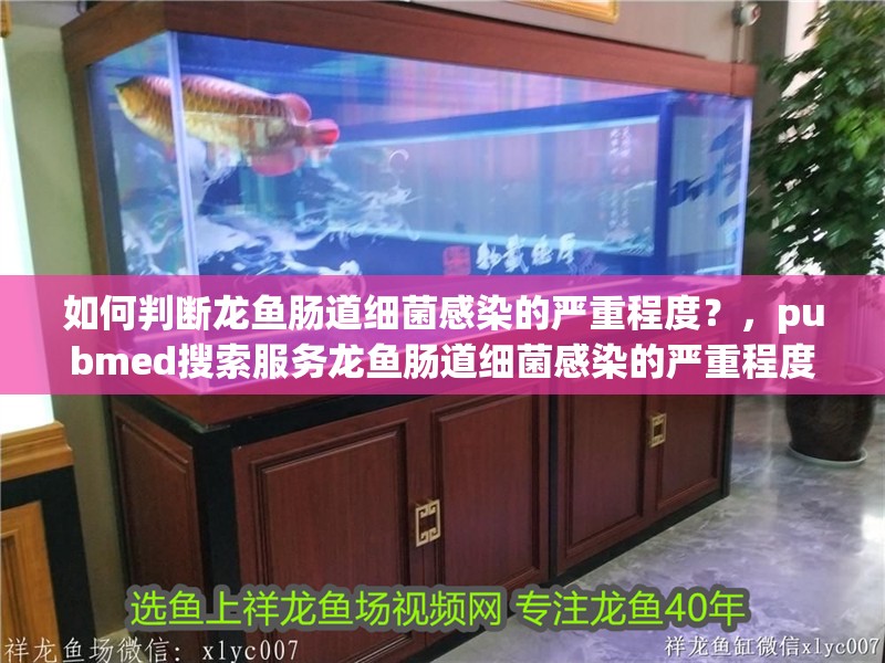 如何判斷龍魚腸道細菌感染的嚴重程度？，pubmed搜索服務龍魚腸道細菌感染的嚴重程度 如何判斷龍魚腸道細菌感染的嚴重程度？，pubmed搜索服務龍魚腸道細菌感染的嚴重程度 龍魚百科