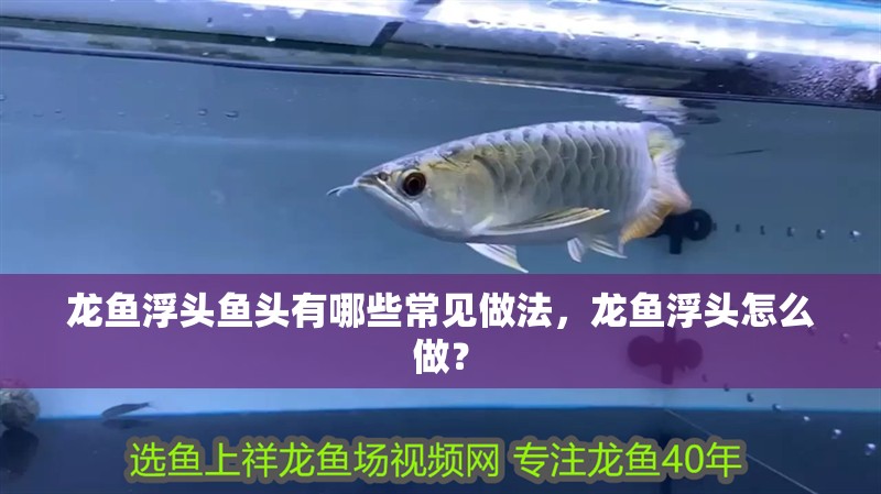 龍魚浮頭魚頭有哪些常見做法，龍魚浮頭怎么做？ 龍魚浮頭魚頭有哪些常見做法，龍魚浮頭怎么做？ 龍魚百科