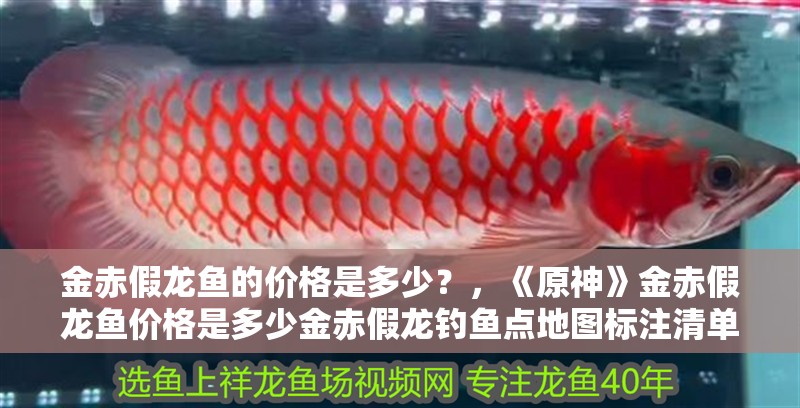 金赤假龍魚的價格是多少？，《原神》金赤假龍魚價格是多少金赤假龍釣魚點地圖標注清單