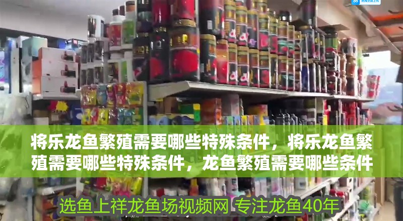 將樂龍魚繁殖需要哪些特殊條件，將樂龍魚繁殖需要哪些特殊條件，龍魚繁殖需要哪些條件 將樂龍魚繁殖需要哪些特殊條件，將樂龍魚繁殖需要哪些特殊條件，龍魚繁殖需要哪些條件 龍魚百科