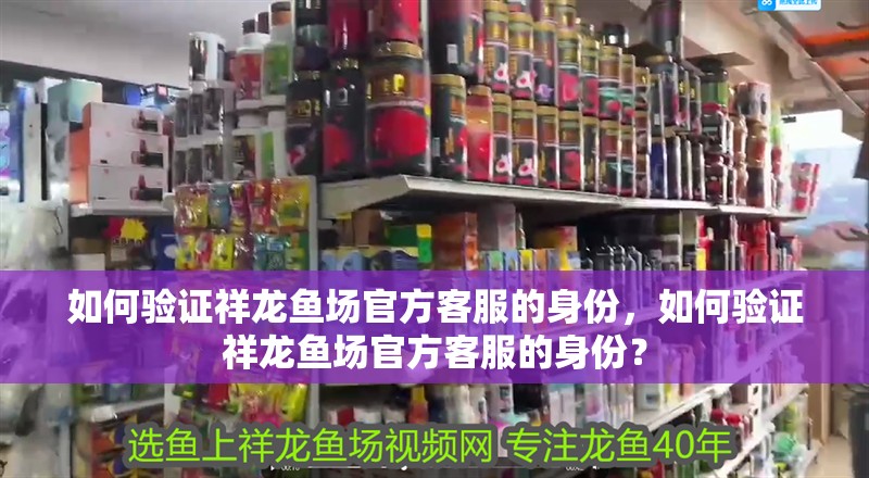 如何驗(yàn)證祥龍魚場(chǎng)官方客服的身份，如何驗(yàn)證祥龍魚場(chǎng)官方客服的身份？ 如何驗(yàn)證祥龍魚場(chǎng)官方客服的身份，如何驗(yàn)證祥龍魚場(chǎng)官方客服的身份？ 龍魚百科