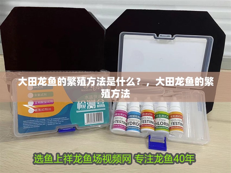 大田龍魚的繁殖方法是什么？，大田龍魚的繁殖方法