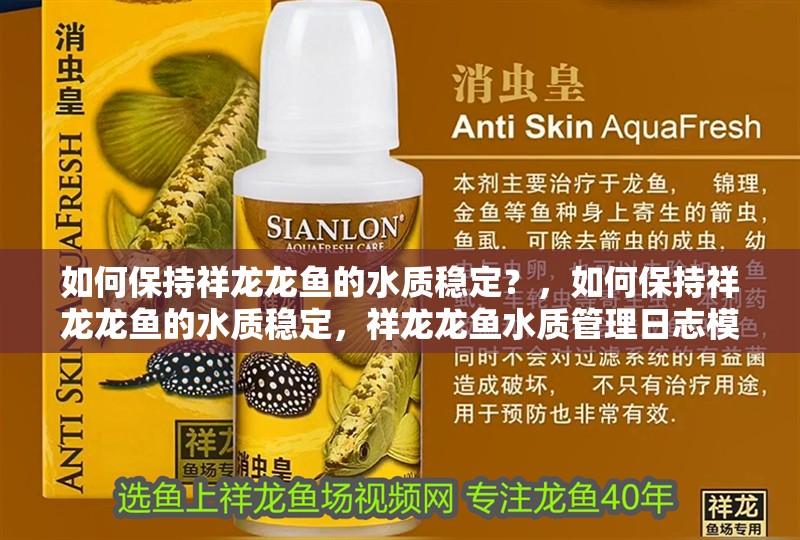 如何保持祥龍龍魚的水質穩定？，如何保持祥龍龍魚的水質穩定，祥龍龍魚水質管理日志模板