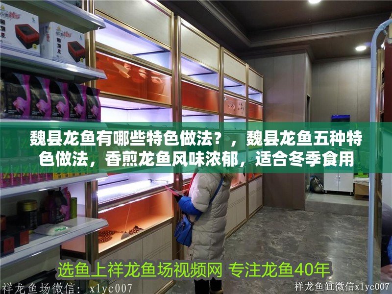 魏縣龍魚有哪些特色做法？，魏縣龍魚五種特色做法，香煎龍魚風味濃郁，適合冬季食用