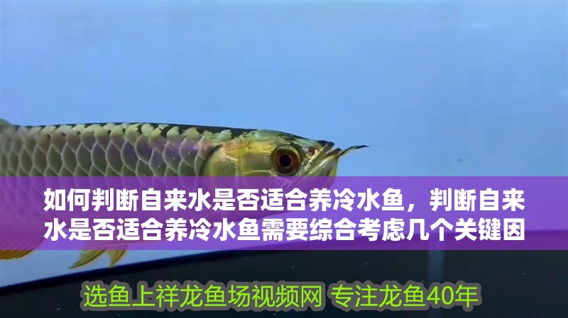 如何判斷自來水是否適合養冷水魚，判斷自來水是否適合養冷水魚需要綜合考慮幾個關鍵因素