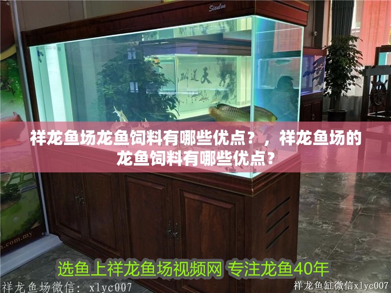 祥龍魚場龍魚飼料有哪些優點？，祥龍魚場的龍魚飼料有哪些優點？ 祥龍魚場龍魚飼料有哪些優點？，祥龍魚場的龍魚飼料有哪些優點？ 龍魚百科