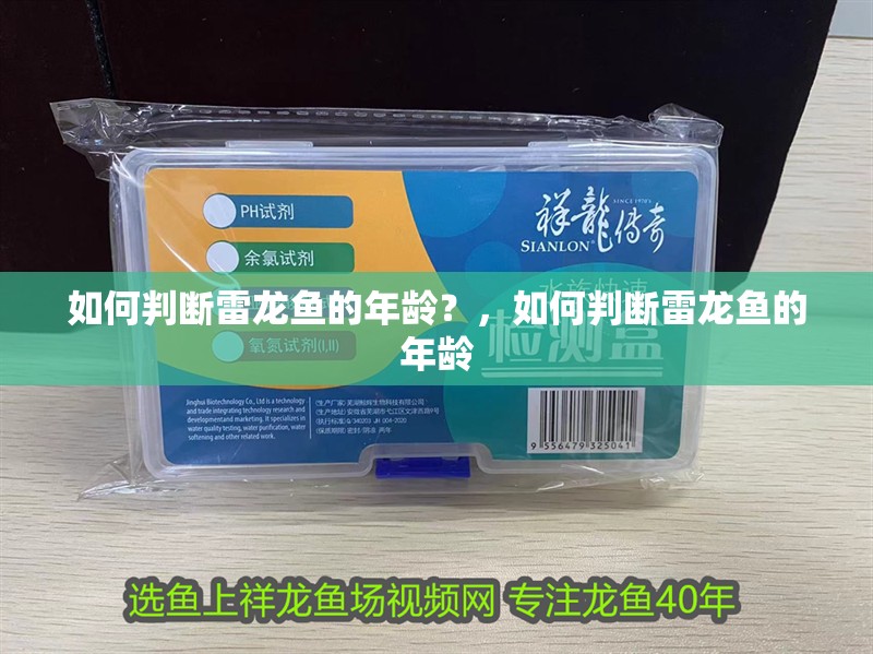 如何判斷雷龍魚的年齡？，如何判斷雷龍魚的年齡