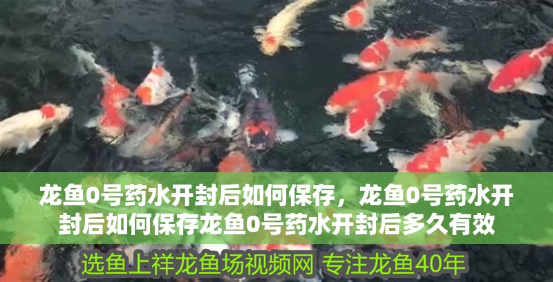 龍魚0號藥水開封后如何保存，龍魚0號藥水開封后如何保存龍魚0號藥水開封后多久有效 龍魚0號藥水開封后如何保存，龍魚0號藥水開封后如何保存龍魚0號藥水開封后多久有效 龍魚百科