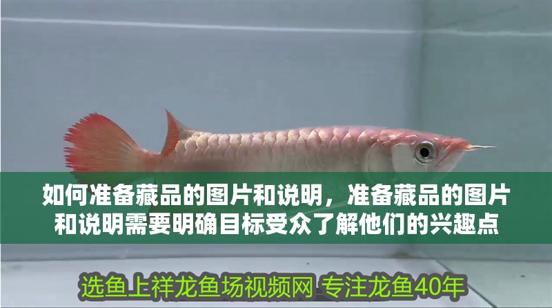 如何準備藏品的圖片和說明，準備藏品的圖片和說明需要明確目標受眾了解他們的興趣點