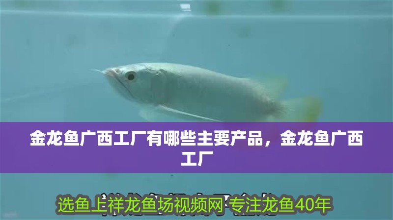 金龍魚廣<strong><mark>西工</mark></strong>廠有哪些主要產品，金龍魚廣<strong><mark>西工</mark></strong>廠