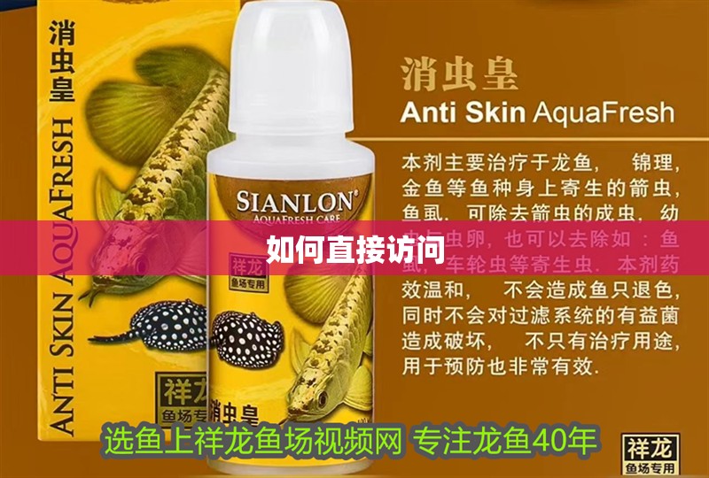 如何直接訪問(wèn)