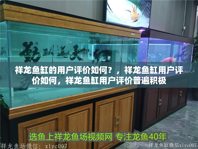 祥龍魚缸的用戶評價如何？，祥龍魚缸用戶評價如何，祥龍魚缸用戶評價普遍積極 祥龍魚缸的用戶評價如何？，祥龍魚缸用戶評價如何，祥龍魚缸用戶評價普遍積極 龍魚百科