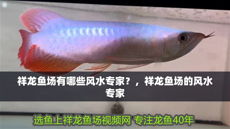 祥龍魚場有哪些風水專家？，祥龍魚場的風水專家