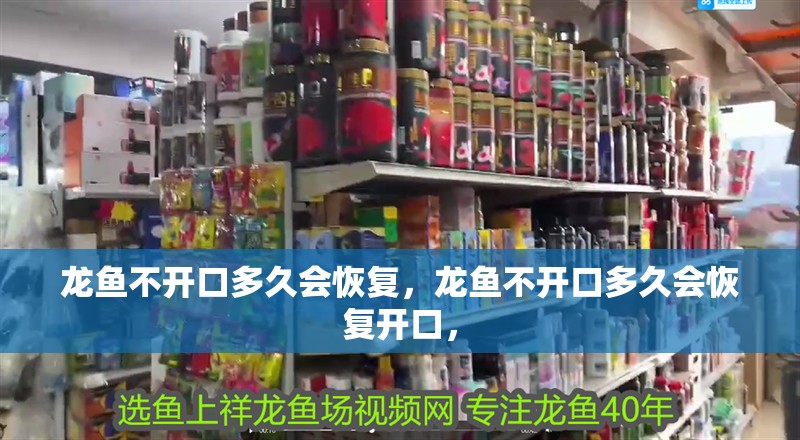 龍魚不開口多久會恢復，龍魚不開口多久會恢復開口，