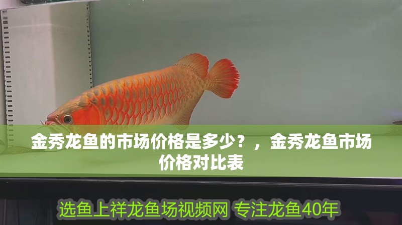 金秀龍魚的市場價格是多少？，金秀龍魚市場價格對比表