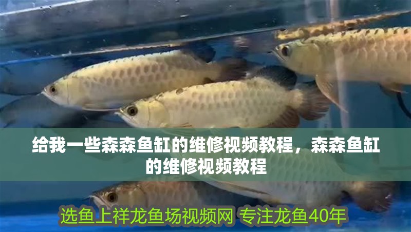 給我一些森森魚缸的維修視頻教程，森森魚缸的維修視頻教程