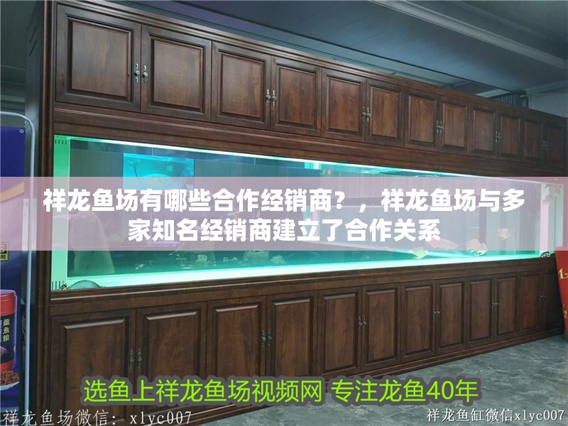 祥龍魚場有哪些<strong><mark>合作</mark></strong>經(jīng)銷商？，祥龍魚場與多家知名經(jīng)銷商建立了<strong><mark>合作</mark></strong>關(guān)系