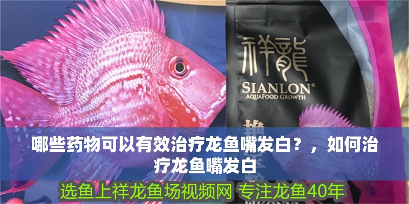 哪些藥物可以有效治療龍魚嘴發白？，如何治療龍魚嘴發白