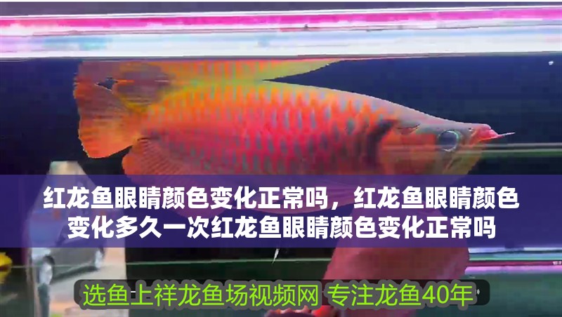 魚缸過濾器選購指南:自制魚缸過濾器魚缸上置過濾器對于養(yǎng)魚愛好者的必備知識 紅龍魚眼睛顏色變化正常嗎,紅龍魚眼睛顏色變化多久一次紅龍魚眼睛顏色變化正常嗎 龍魚百科 紅龍魚眼睛顏色變化正常嗎,紅龍魚眼睛顏色變化多久一次紅龍魚眼睛顏色變化正常嗎 紅龍魚眼睛顏色變化正常嗎,紅龍魚眼睛顏色變化多久一次紅龍魚眼睛顏色變化正常嗎 龍魚百科