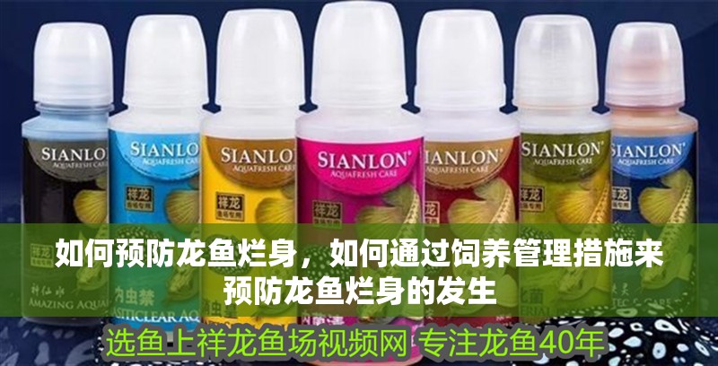 如何預(yù)防龍魚(yú)爛身，如何通過(guò)飼養(yǎng)管理措施來(lái)預(yù)防龍魚(yú)爛身的發(fā)生