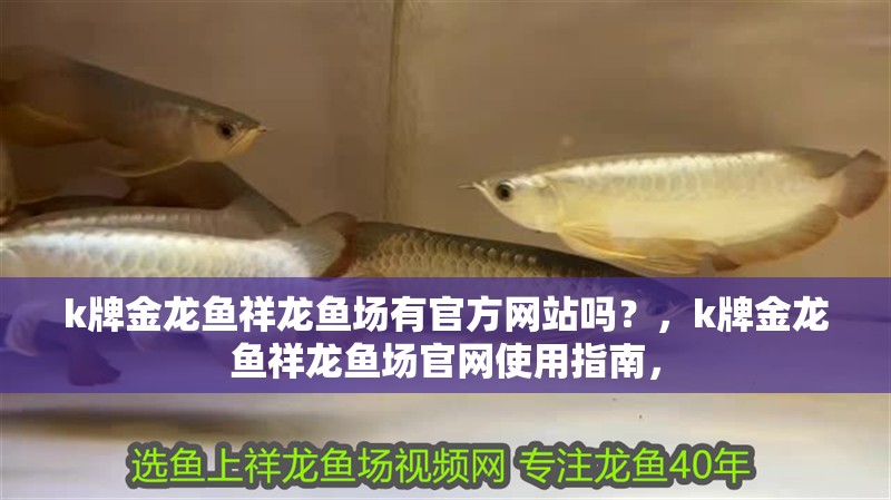 k牌金龍魚祥龍魚場有官方網站嗎？，k牌金龍魚祥龍魚場官網使用指南， k牌金龍魚祥龍魚場有官方網站嗎？，k牌金龍魚祥龍魚場官網使用指南， 龍魚百科
