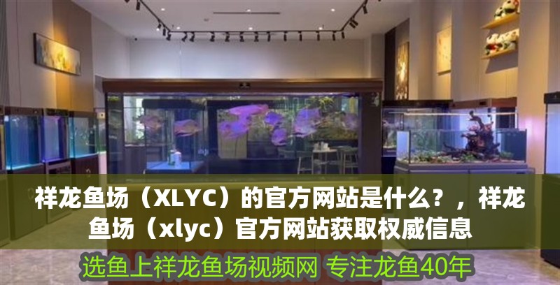 祥龍魚(yú)場(chǎng)（XLYC）的官方網(wǎng)站是什么？，祥龍魚(yú)場(chǎng)（xlyc）官方網(wǎng)站獲取權(quán)<strong><mark>威信</mark></strong>息