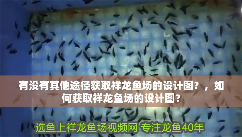 有沒有其他途徑獲取祥龍魚場的設計圖？，如何獲取祥龍魚場的設計圖？ 有沒有其他途徑獲取祥龍魚場的設計圖？，如何獲取祥龍魚場的設計圖？ 龍魚百科