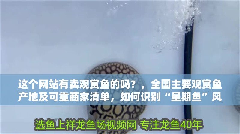 給大魚缸換水的作文:體驗給大魚缸換水的樂趣:體驗給大魚缸換水:給大魚缸換水的作文 這個網站有賣觀賞魚的嗎?,全國主要觀賞魚產地及可靠商家清單,如何識別“星期魚”風險 龍魚百科 這個網站有賣觀賞魚的嗎?,全國主要觀賞魚產地及可靠商家清單,如何識別“星期魚”風險 這個網站有賣觀賞魚的嗎?,全國主要觀賞魚產地及可靠商家清單,如何識別“星期魚”風險 龍魚百科