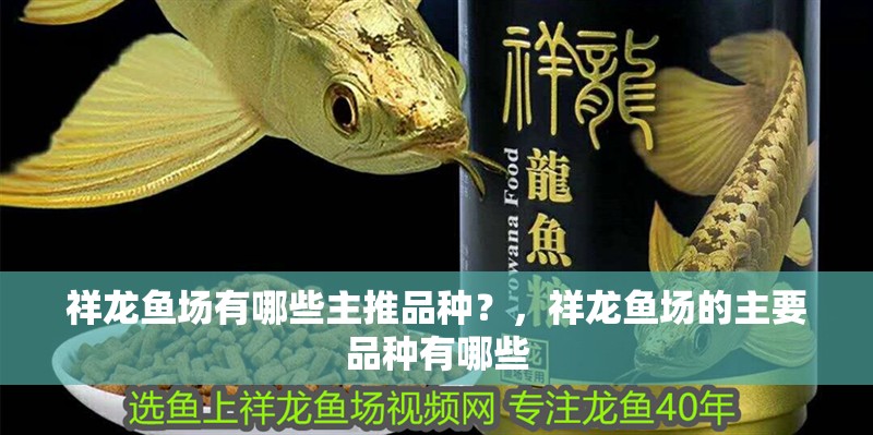 祥龍魚場有哪些主推品種？，祥龍魚場的主要品種有哪些