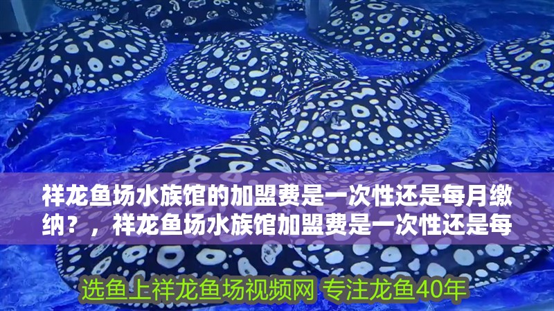 祥龍魚場水族館的加盟費是一次性還是每月繳納？，祥龍魚場水族館加盟費是一次性還是每月繳納一次性費用 祥龍魚場水族館的加盟費是一次性還是每月繳納？，祥龍魚場水族館加盟費是一次性還是每月繳納一次性費用 龍魚百科