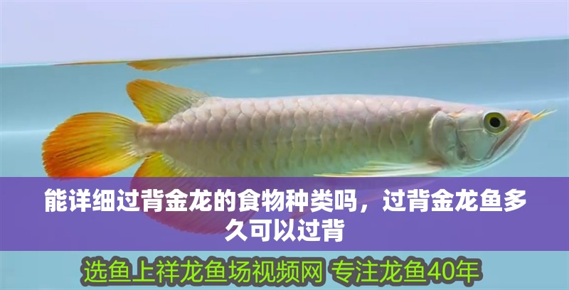 能詳細過背金龍的食物種類嗎，過背金龍魚多久可以過背