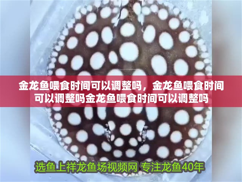 魚缸用增氧泵價(jià)格是多少:魚缸增氧機(jī)-xtrac增氧機(jī)-xtrac增氧機(jī) 金龍魚喂食時(shí)間可以調(diào)整嗎,金龍魚喂食時(shí)間可以調(diào)整嗎金龍魚喂食時(shí)間可以調(diào)整嗎 龍魚百科 金龍魚喂食時(shí)間可以調(diào)整嗎,金龍魚喂食時(shí)間可以調(diào)整嗎金龍魚喂食時(shí)間可以調(diào)整嗎 金龍魚喂食時(shí)間可以調(diào)整嗎,金龍魚喂食時(shí)間可以調(diào)整嗎金龍魚喂食時(shí)間可以調(diào)整嗎 龍魚百科