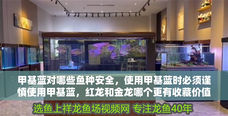甲基藍(lán)對(duì)哪些魚種安全，使用甲基藍(lán)時(shí)必須謹(jǐn)慎使用甲基藍(lán)，紅龍和金龍哪個(gè)更有收藏價(jià)值