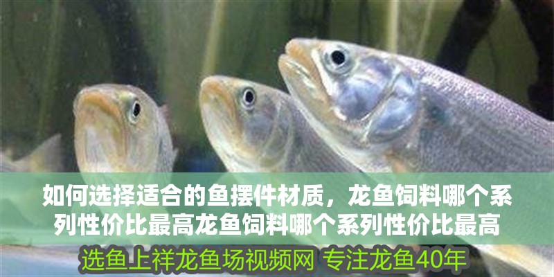 如何選擇適合的魚擺件材質，龍魚飼料哪個系列性價比最高龍魚飼料哪個系列性價比最高