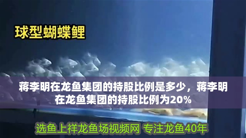 蔣李明在龍魚集團的持股比例是多少，蔣李明在龍魚集團的持股比例為20%