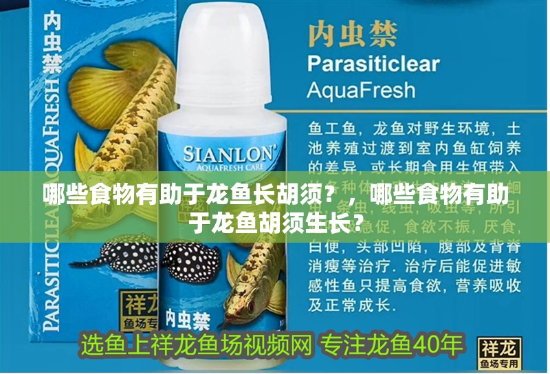 哪些食物有助于龍魚長胡須？，哪些食物有助于龍魚胡須生長？