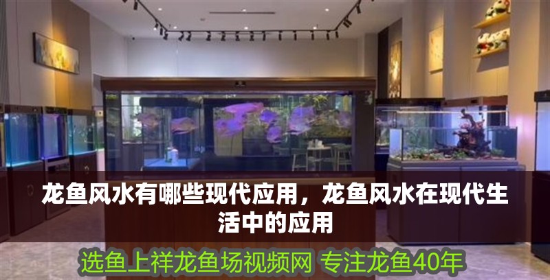 龍魚風水有哪些現代應用，龍魚風水在現代生活中的應用