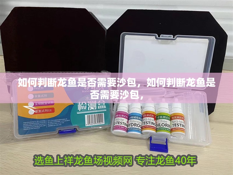 如何判斷龍魚是否需要沙包，如何判斷龍魚是否需要沙包， 如何判斷龍魚是否需要沙包，如何判斷龍魚是否需要沙包， 龍魚百科