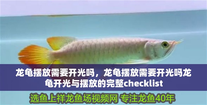 龍龜擺放需要開光嗎，龍龜擺放需要開光嗎龍龜開光與擺放的完整checklist