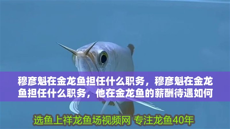 龍魚干蝦有營養(yǎng)嗎 穆彥魁在金龍魚擔(dān)任什么職務(wù),穆彥魁在金龍魚擔(dān)任什么職務(wù),他在金龍魚的薪酬待遇如何? 龍魚百科 穆彥魁在金龍魚擔(dān)任什么職務(wù),穆彥魁在金龍魚擔(dān)任什么職務(wù),他在金龍魚的薪酬待遇如何? 穆彥魁在金龍魚擔(dān)任什么職務(wù),穆彥魁在金龍魚擔(dān)任什么職務(wù),他在金龍魚的薪酬待遇如何? 龍魚百科