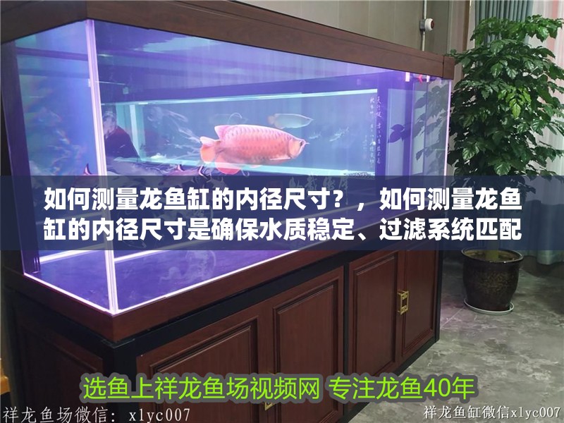 如何測量龍魚缸的內徑尺寸？，如何測量龍魚缸的內徑尺寸是確保水質穩定、過濾系統匹配