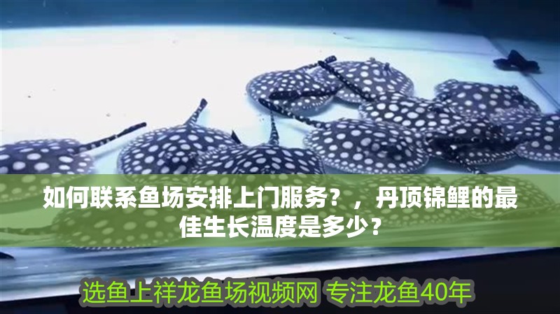 如何聯(lián)系魚場(chǎng)安排上門服務(wù)？，丹頂錦鯉的最佳生長(zhǎng)溫度是多少？